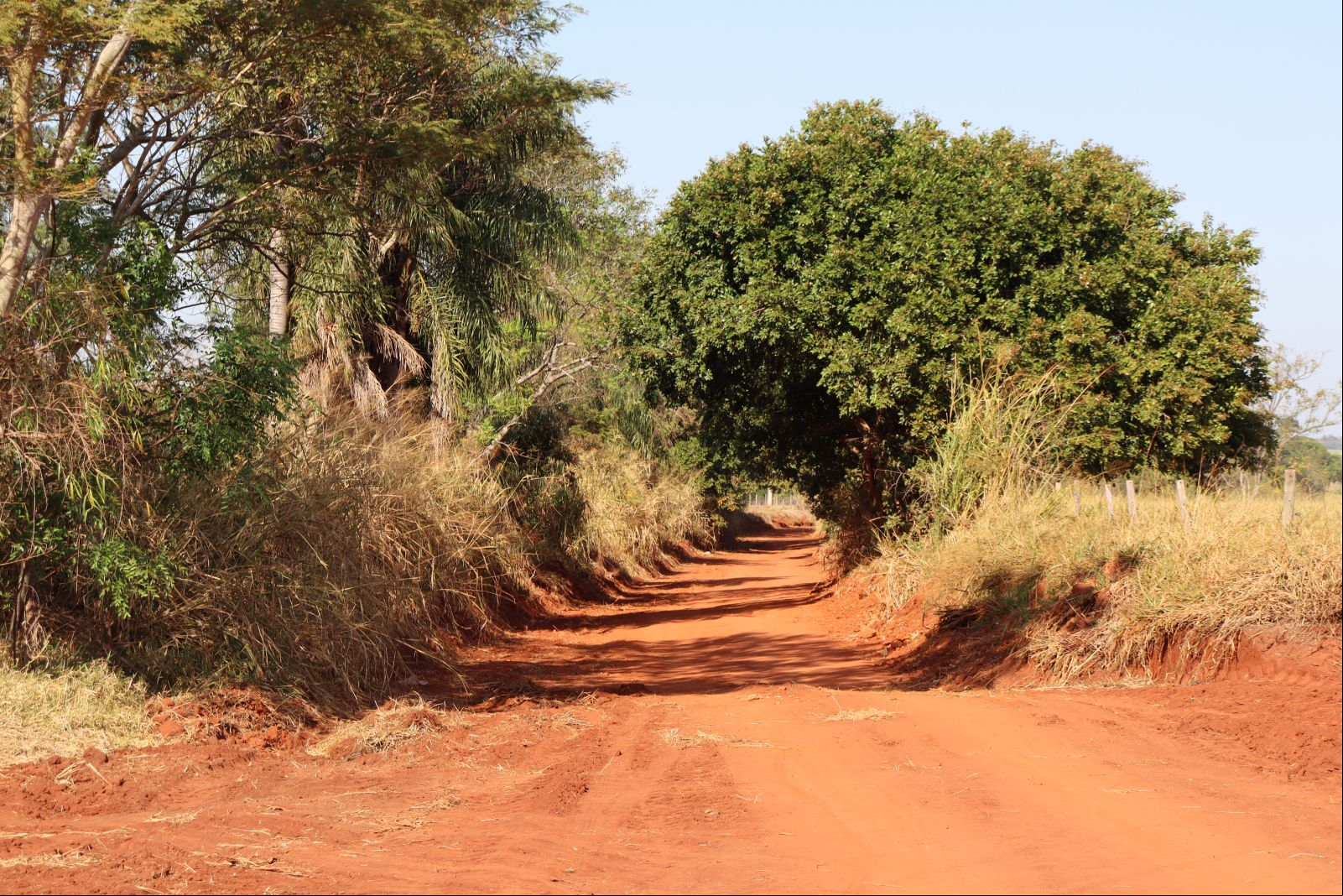 Estrada do Zé Mané / Foto: Idelfonso Alves