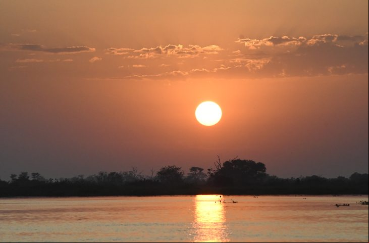Pantanal sul-mato-grossense / Foto: Bruno Rezende